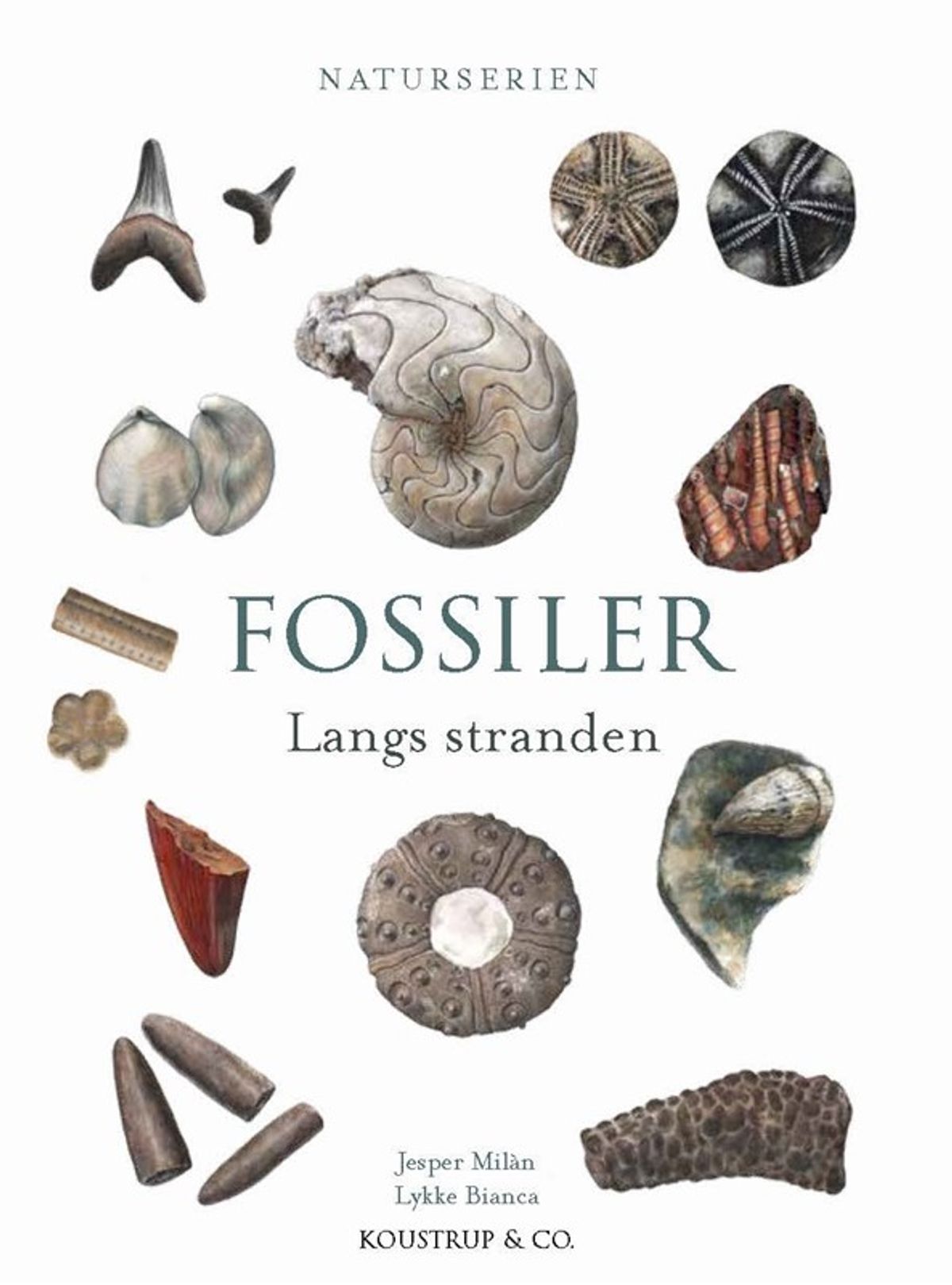 FOSSILER