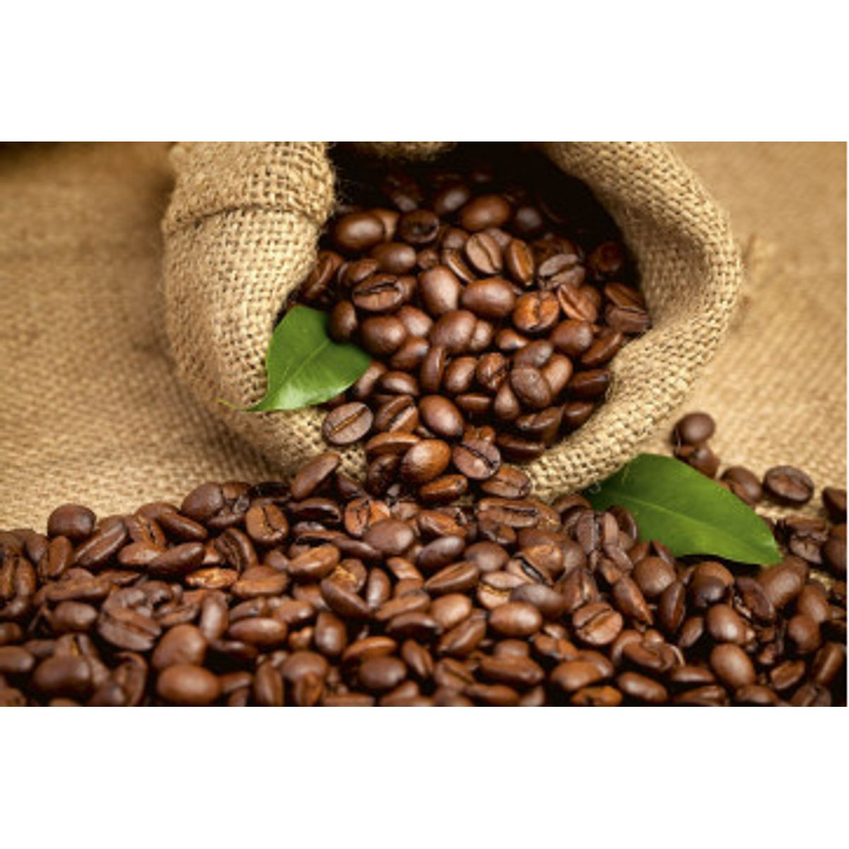 Fototapet - Coffee Beans