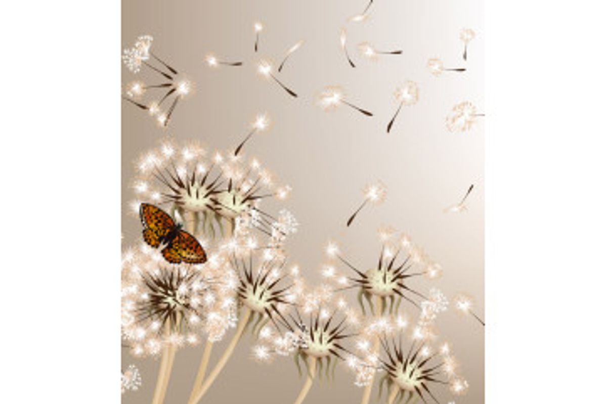 Fototapet - Dandelions And Butterfly