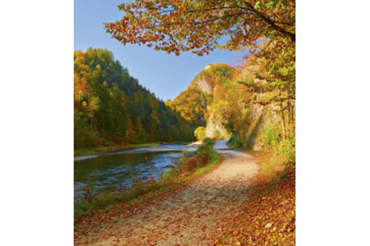 Fototapet - Dunajec River