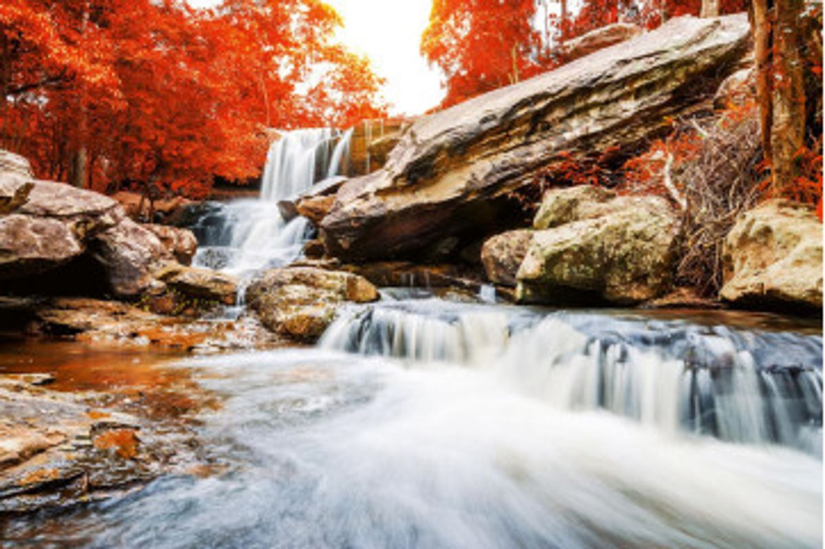 Fototapet - Landscape With The Waterfall