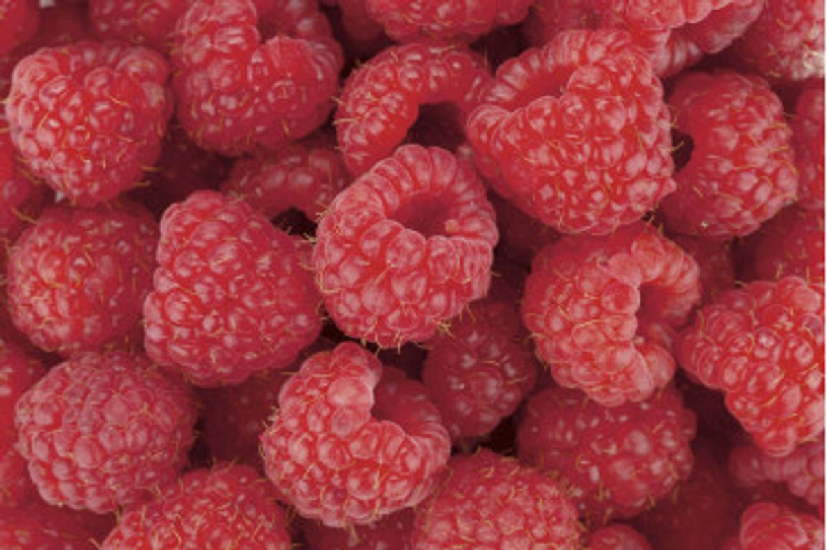 Fototapet - Raspberry