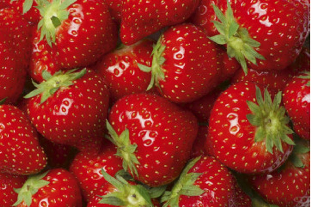 Fototapet - Strawberry