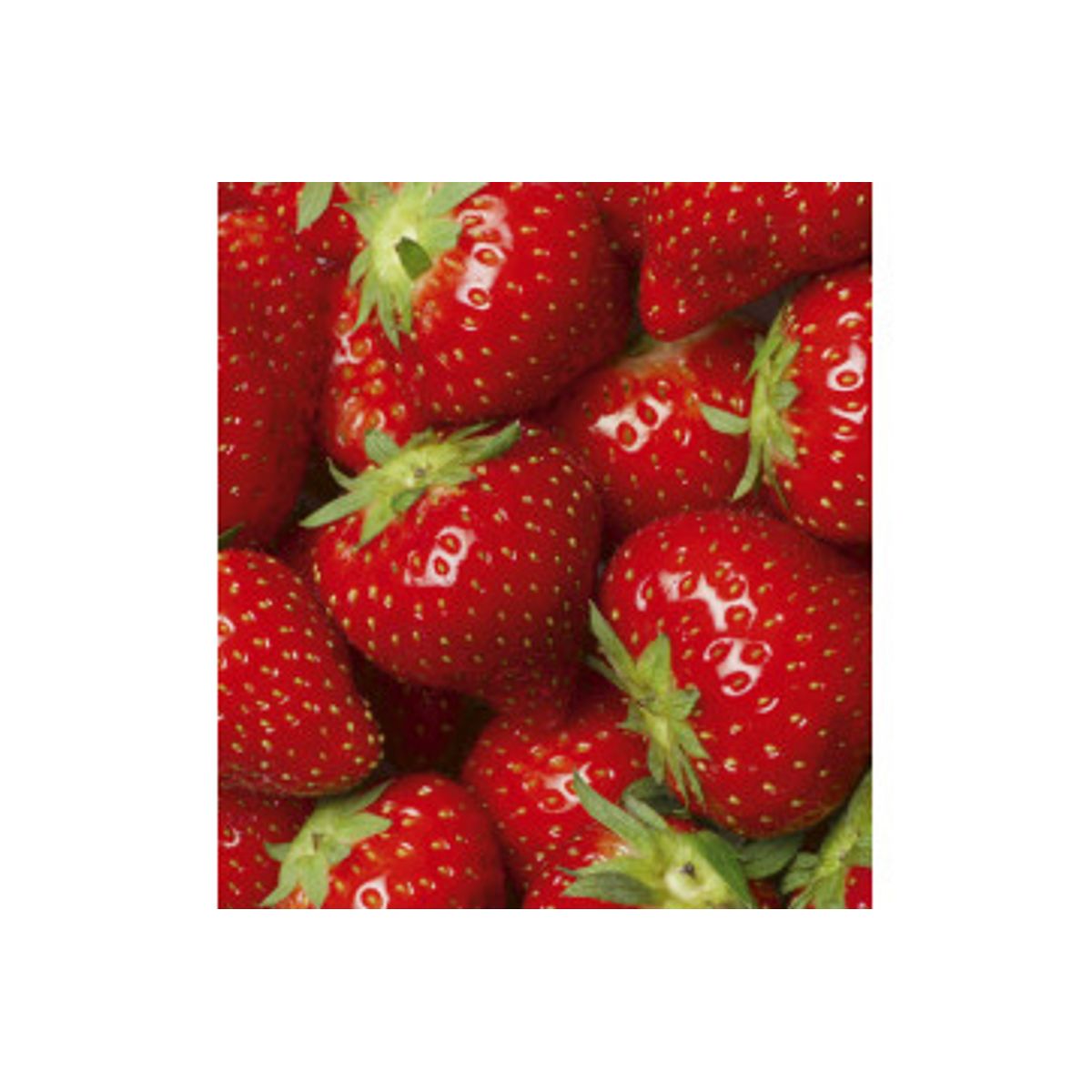 Fototapet - Strawberry