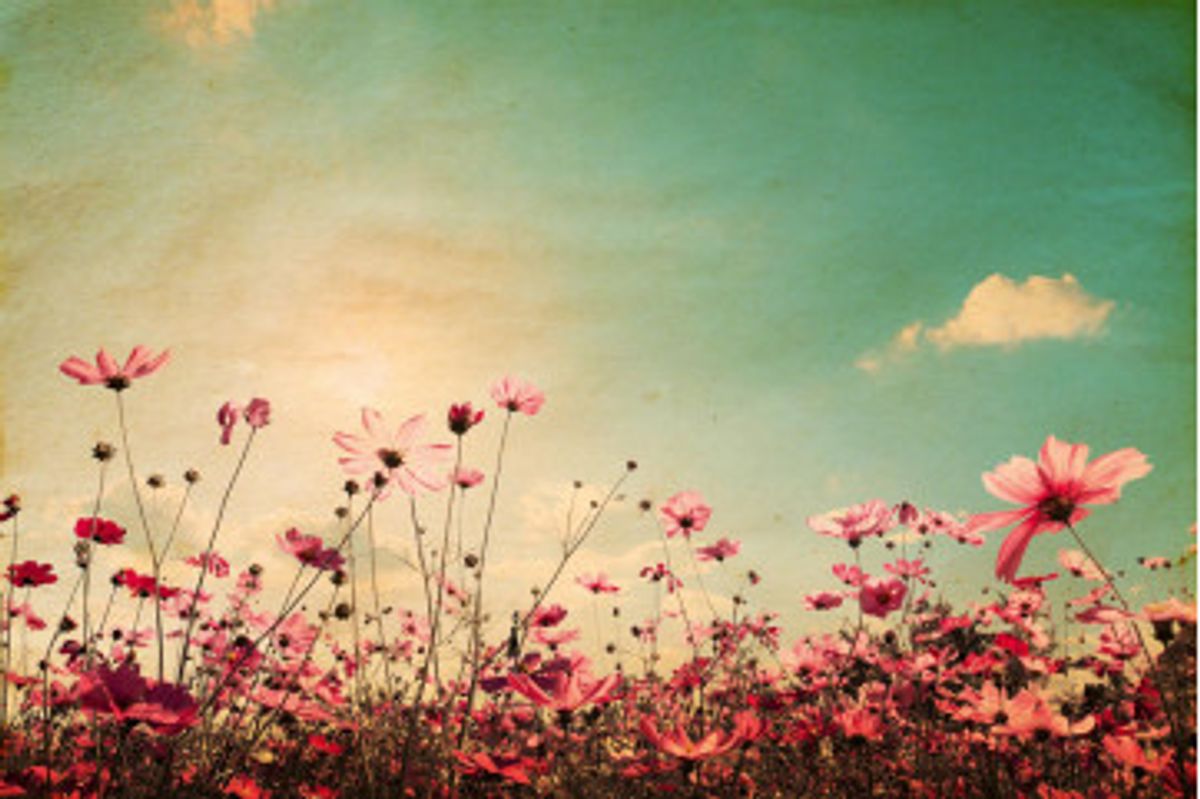 Fototapet - Vintage Landscape Nature Background