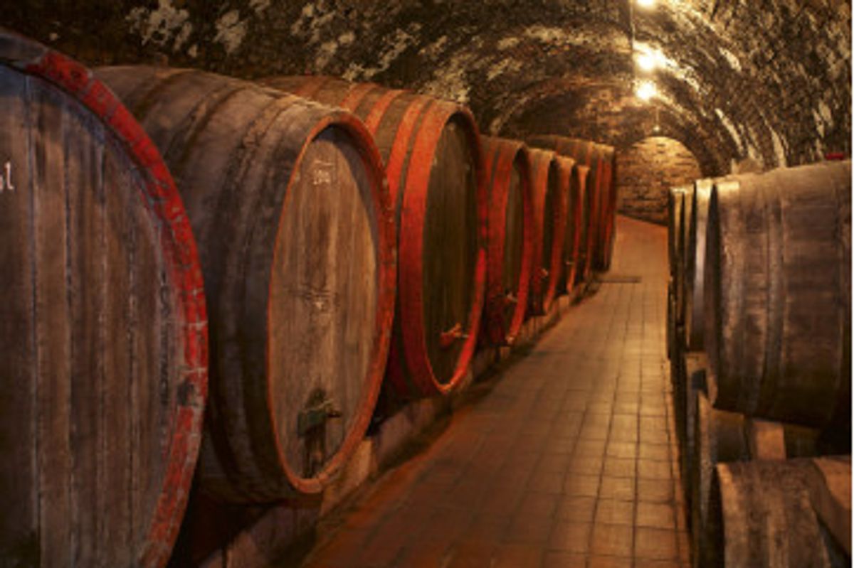 Fototapet - Wine Barrels