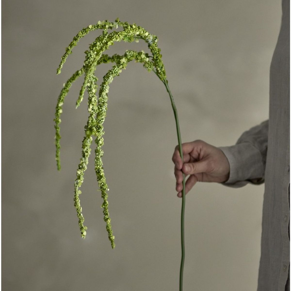 Foxtail stilk grøn, kunstig - Bloomingville - H: 107 cm