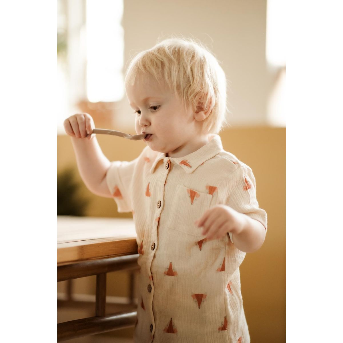 Foxter shirt - Beige / 18-24m - 92cm