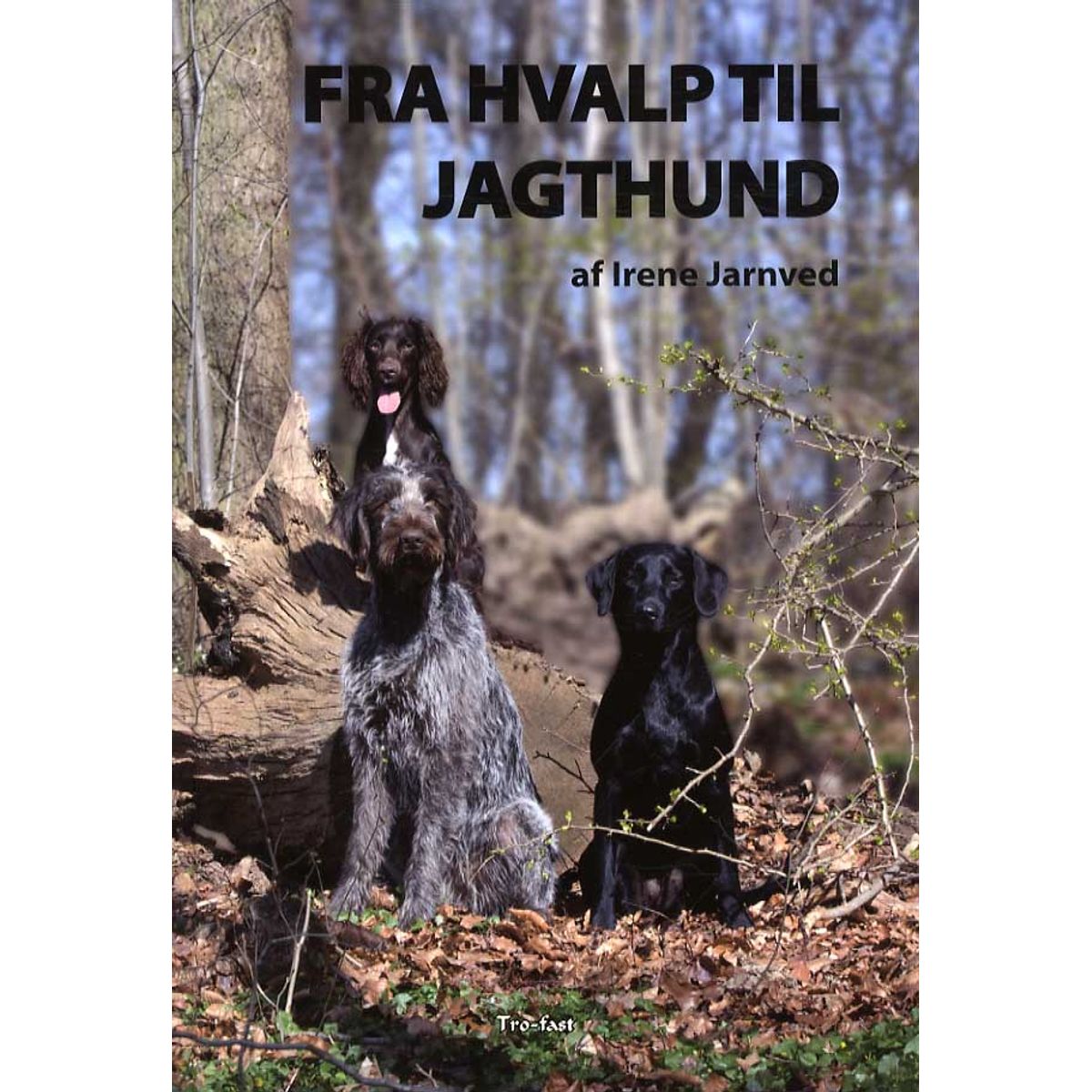 Fra hvalp til jagthund