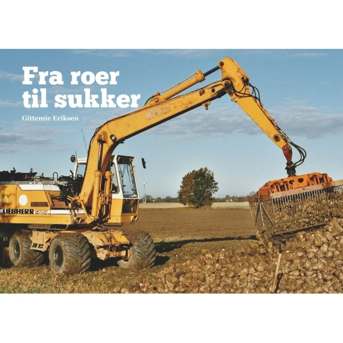 Fra Roer Til Sukker - Gittemie Eriksen - Bog