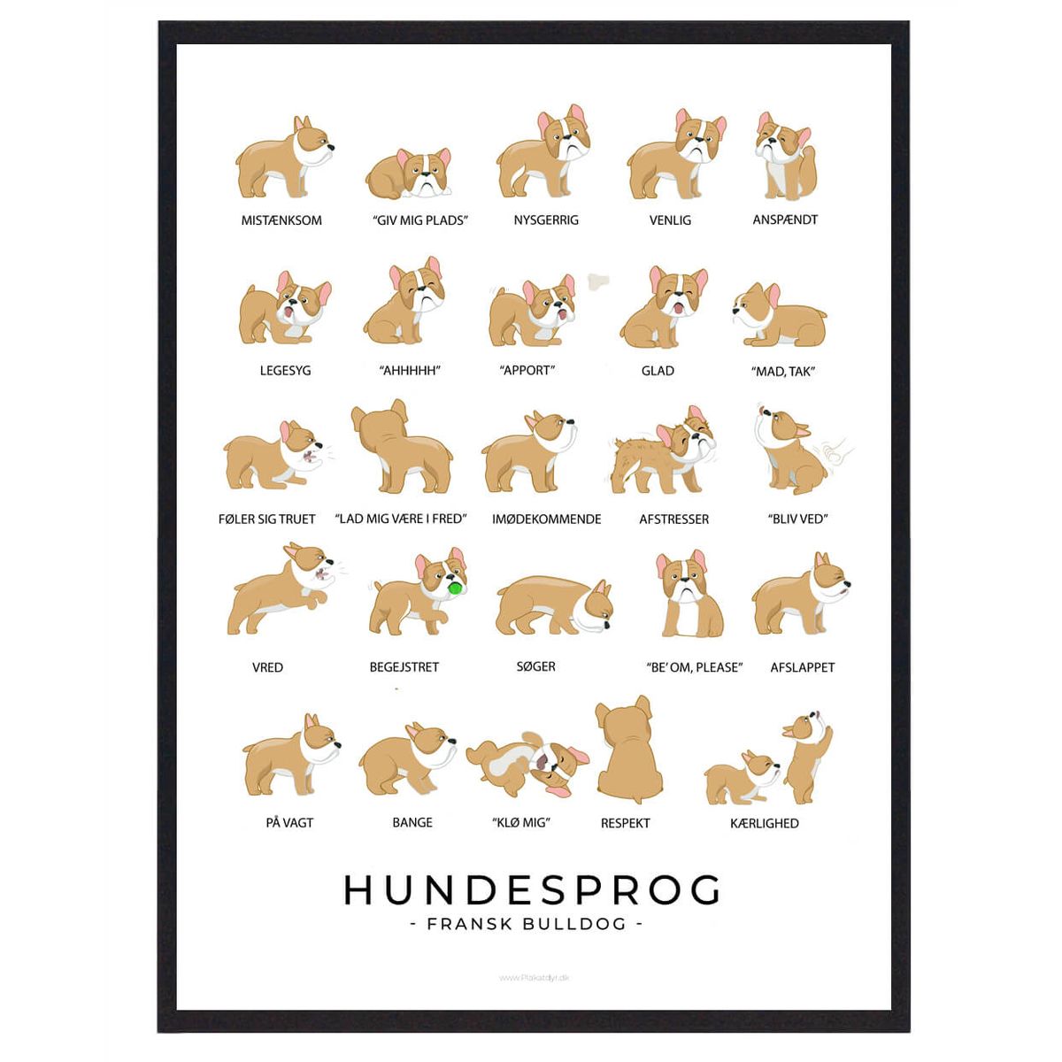 Fransk Bulldog plakat - Hundesprog (Størrelse: L - 50x70cm (B2))