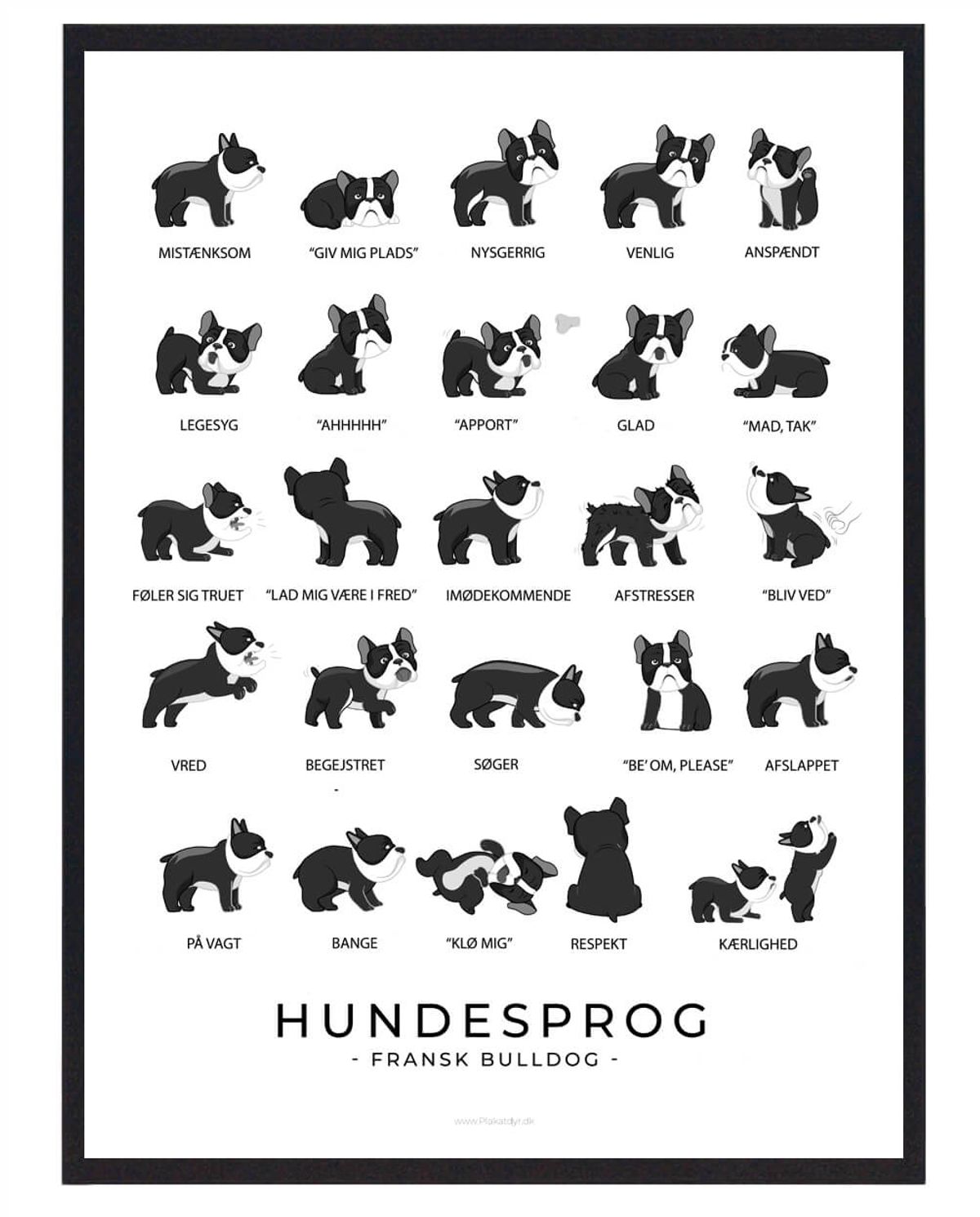 Fransk Bulldog sort plakat - Hundesprog (Størrelse: L - 50x70cm (B2))