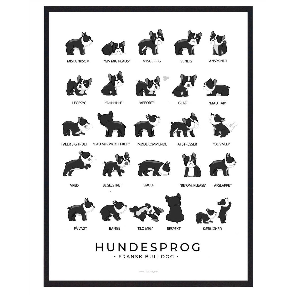 Fransk Bulldog sort plakat - Hundesprog (Størrelse: M - 30x40cm)