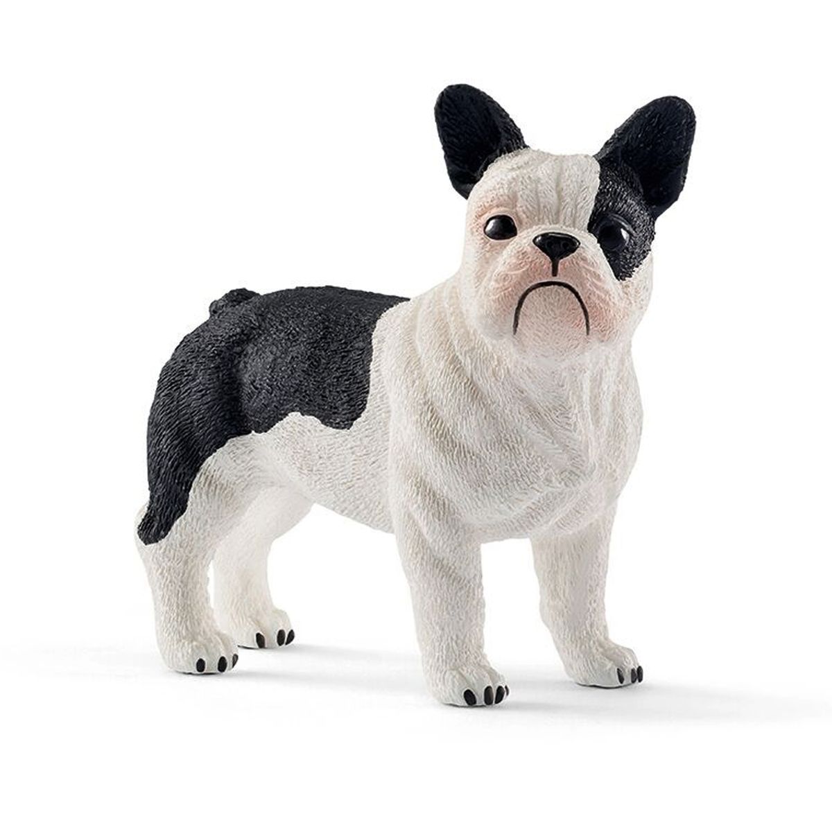 French bulldog (One size)