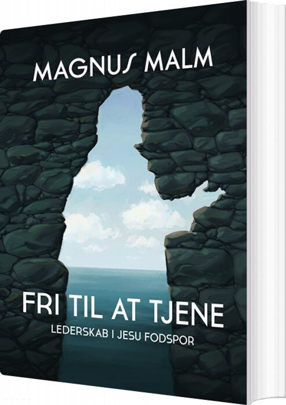 Fri Til At Tjene - Magnus Malm - Bog