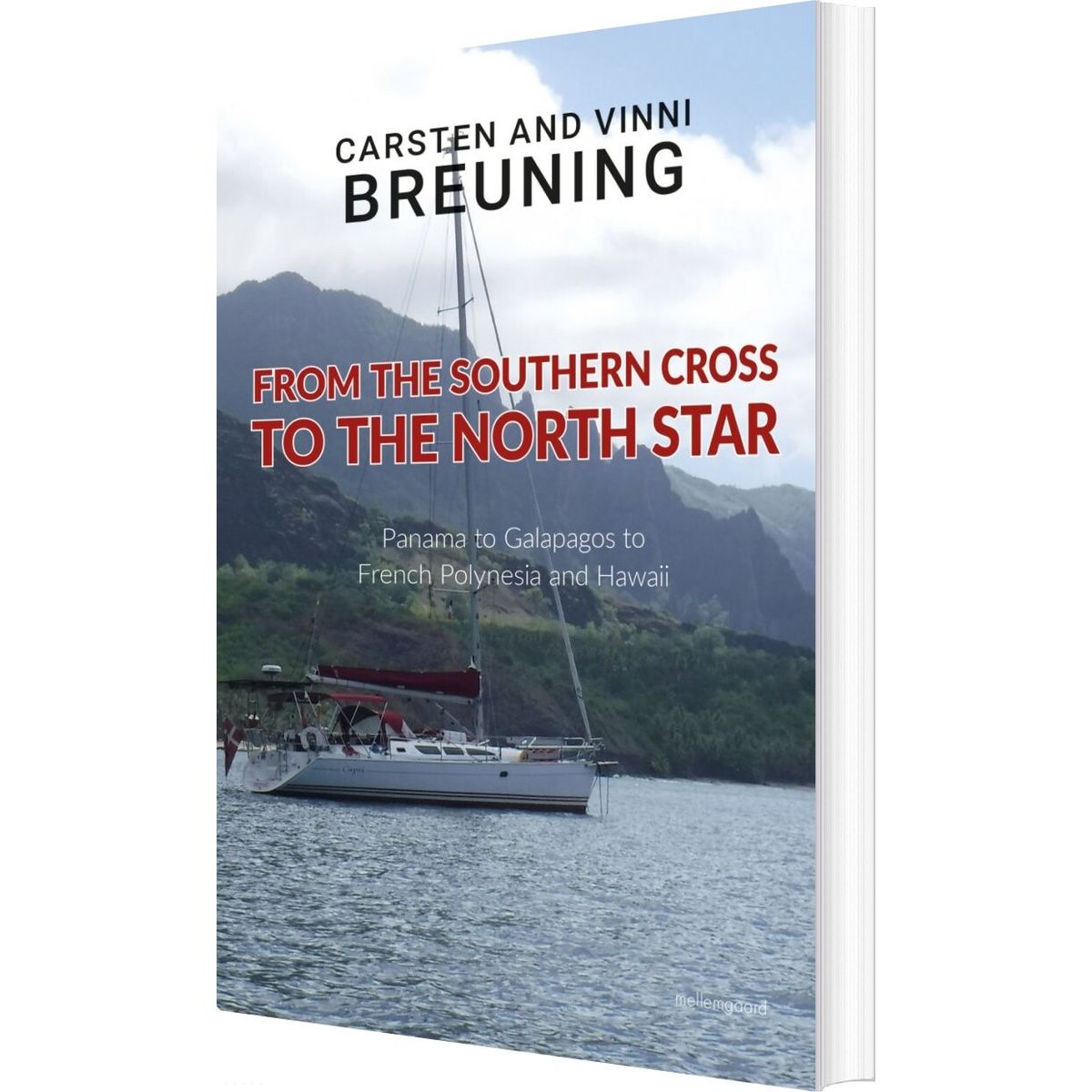 From The Southern Cross To The North Star - Vinni Breuning - English Book