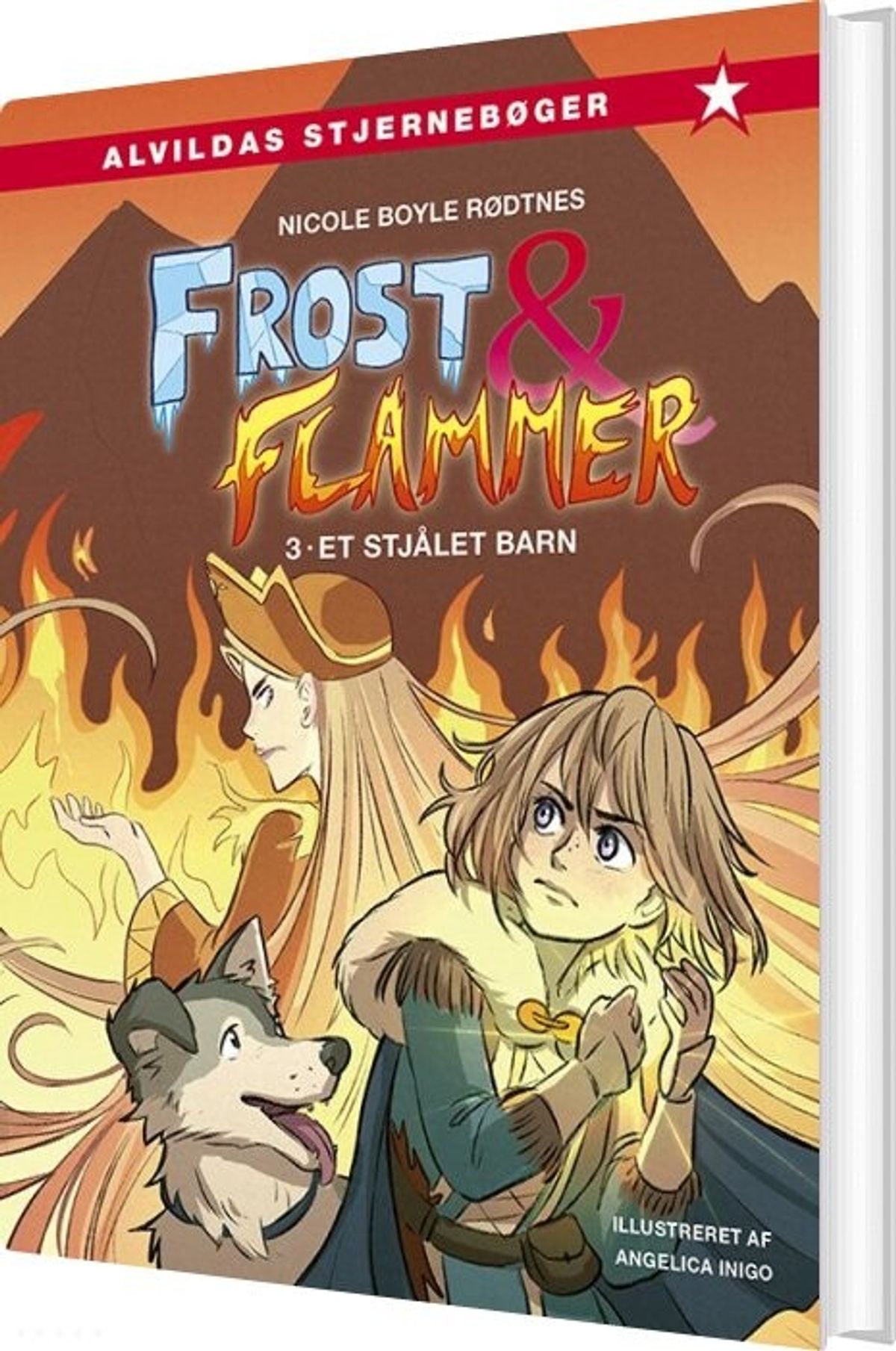 Frost Og Flammer 3: Et Stjålet Barn - Nicole Boyle Rødtnes - Bog