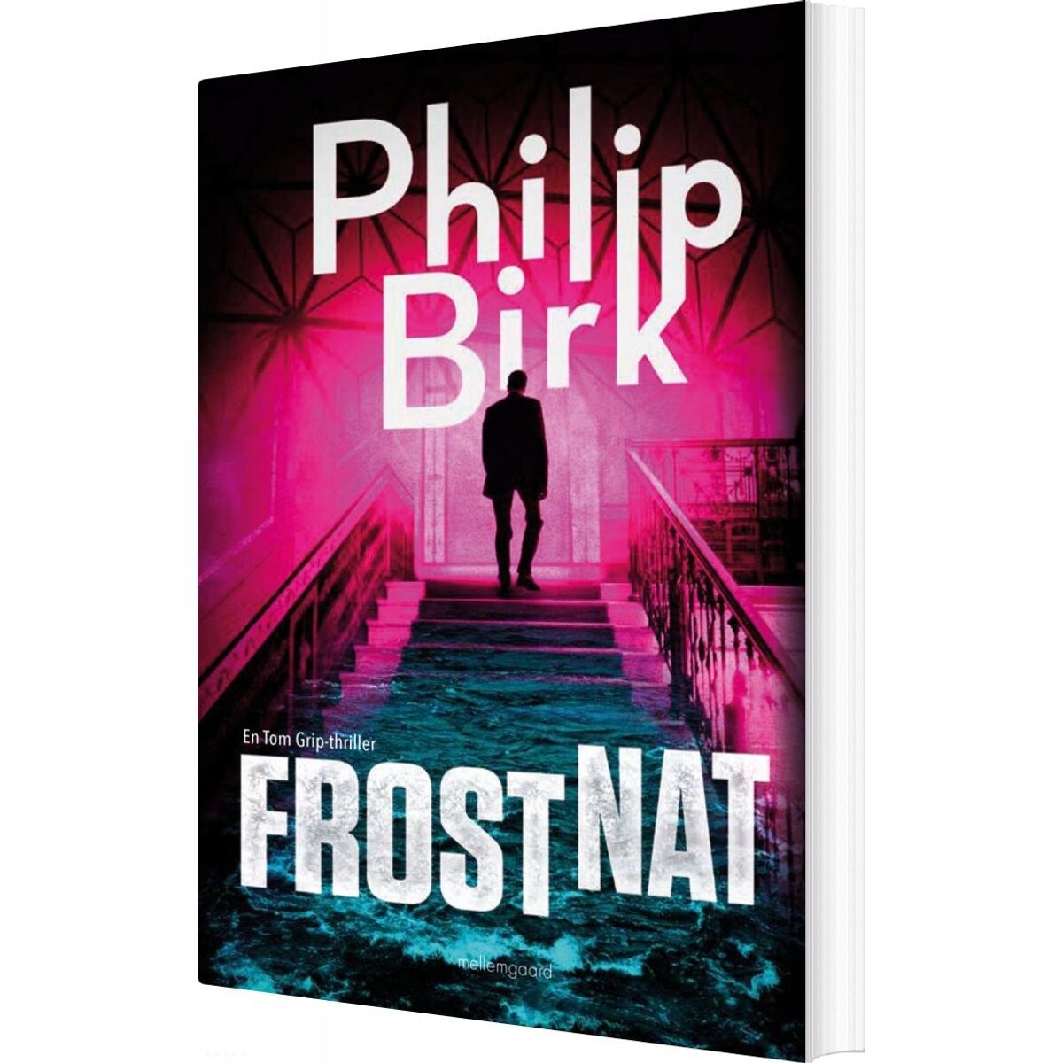 Frostnat - Philip Birk - Bog