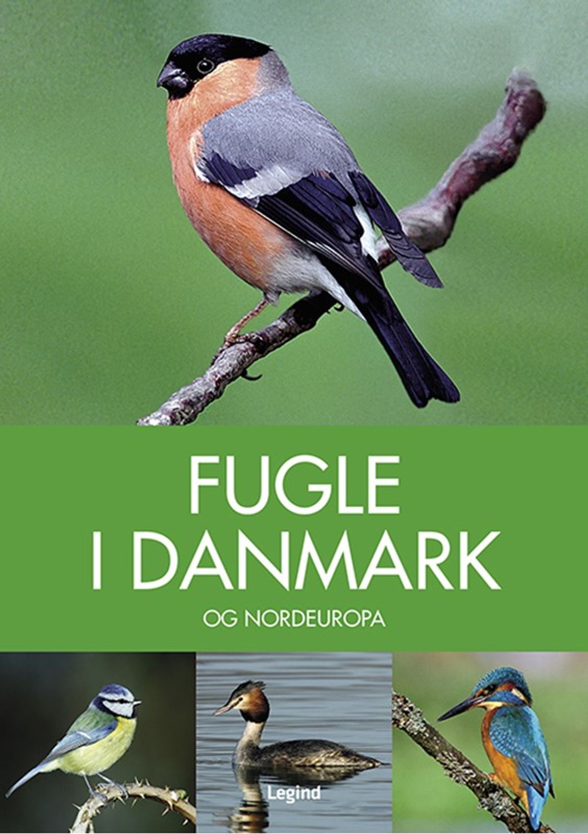 Fugle i Danmark