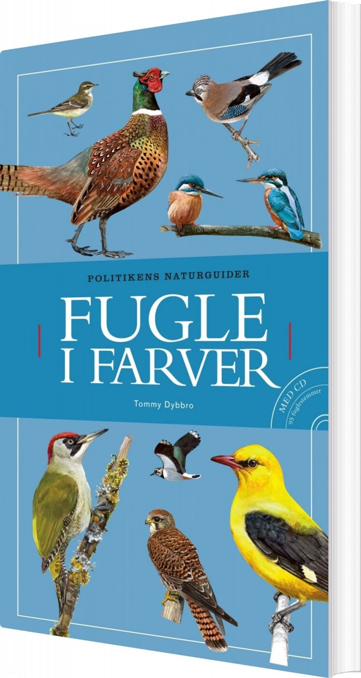 Fugle I Farver - Tommy Dybbro - Bog