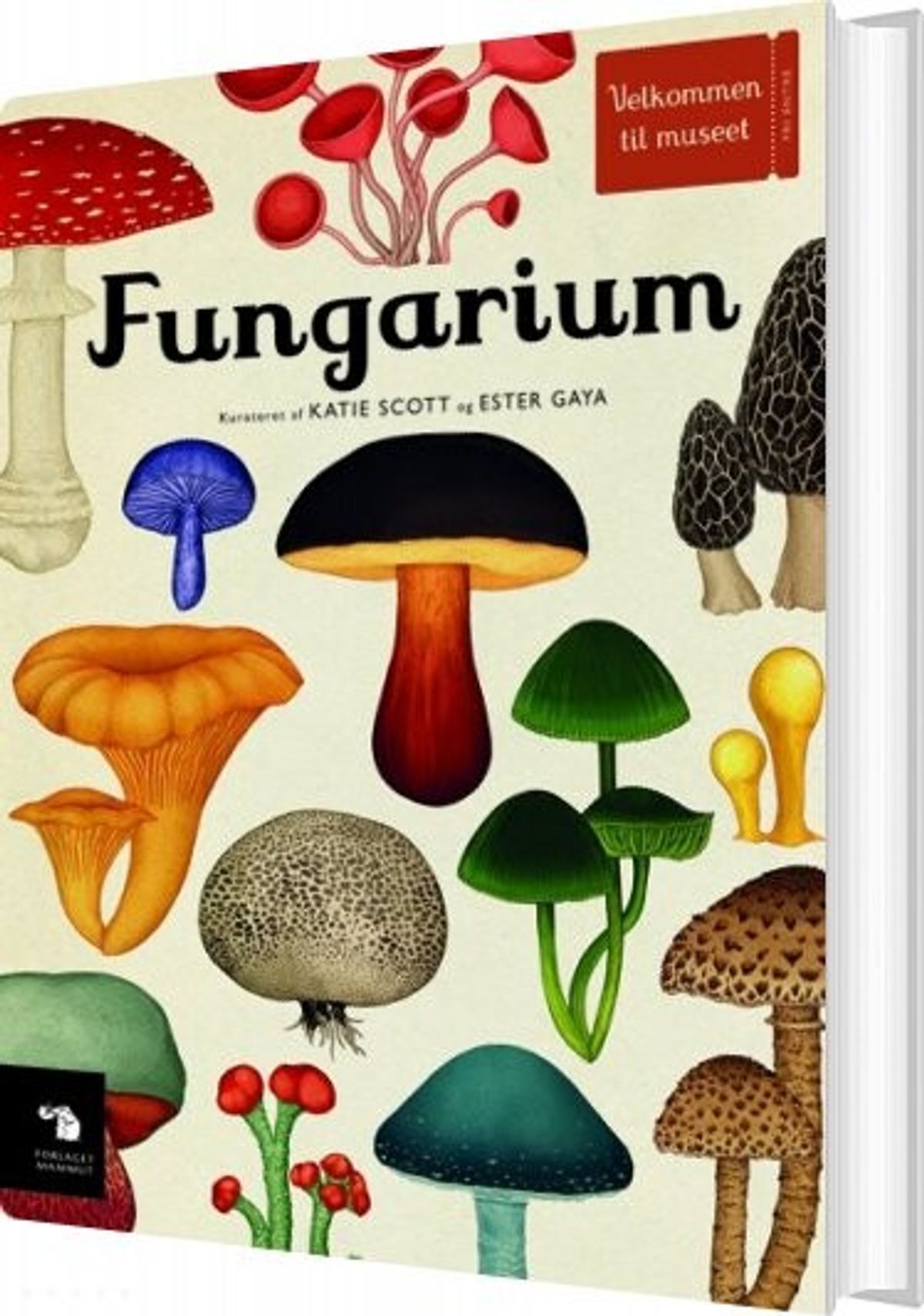 Fungarium - Katie Scott - Bog