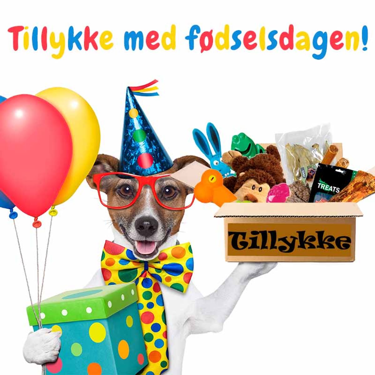 Fødselsdagsgave til hunde-Lille hund fra 4-8 kg.