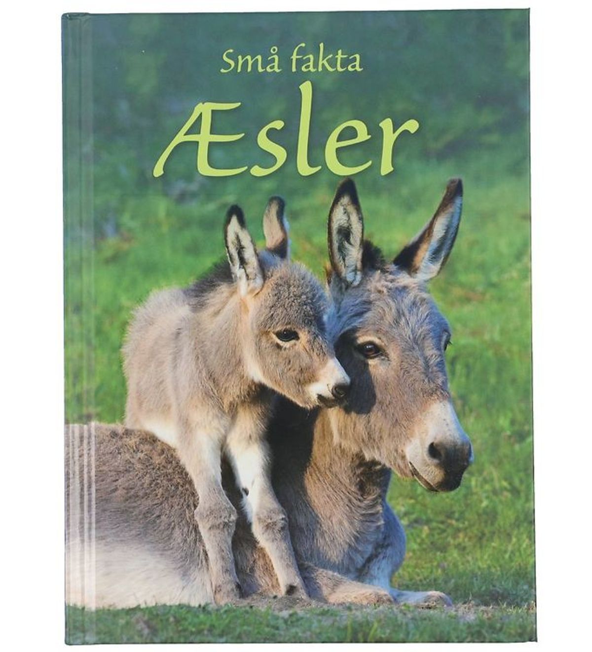 Gads Forlag Bog - Små fakta - Æsler - Dansk