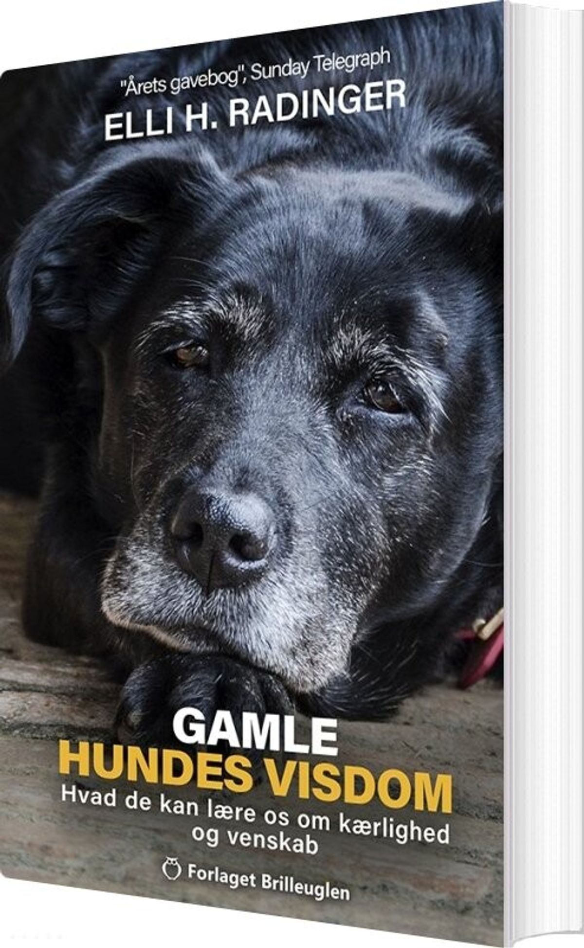 Gamle Hundes Visdom - Elli H. Radinger - Bog