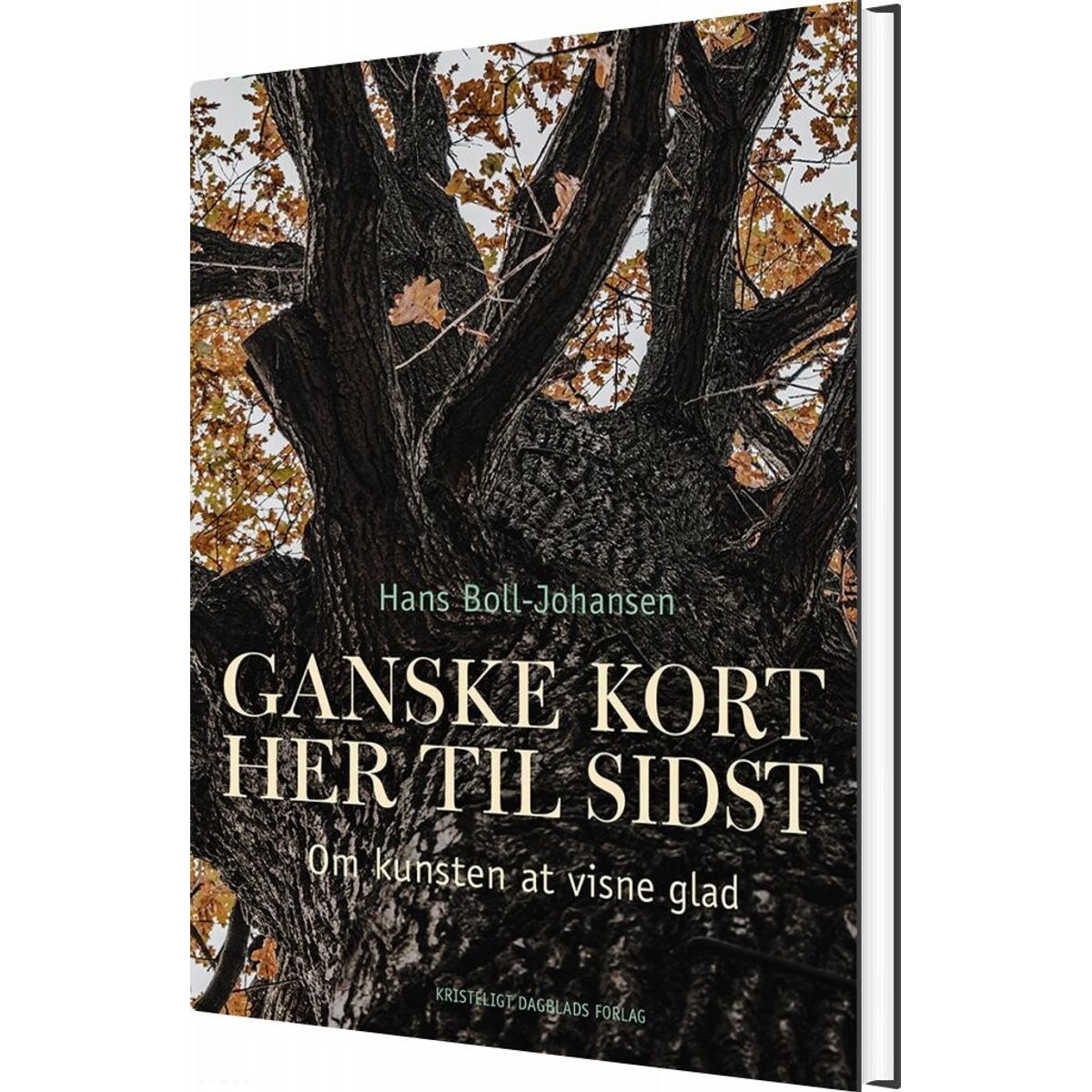 Ganske Kort Her Til Sidst - Hans Boll-johansen - Bog