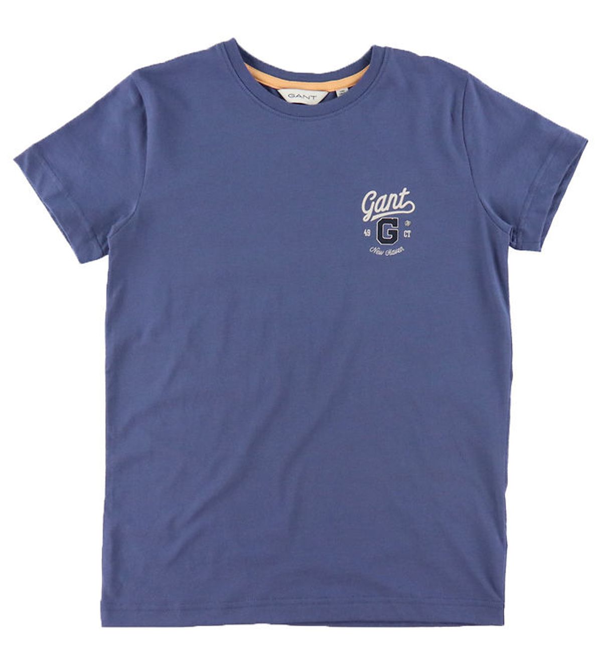 GANT T-shirt - Graphic - Washed Blue