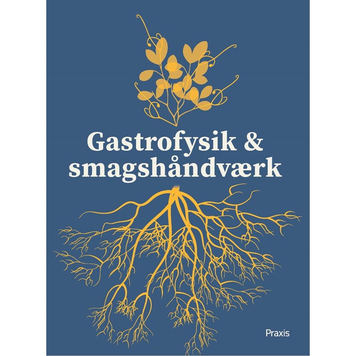 Gastrofysik og smagshåndværk