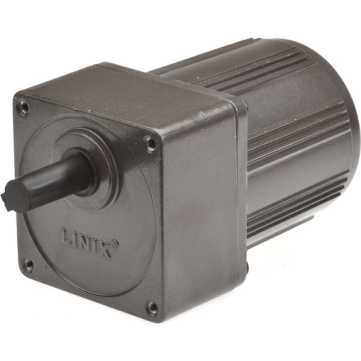 Gear motor YN80 24RPM