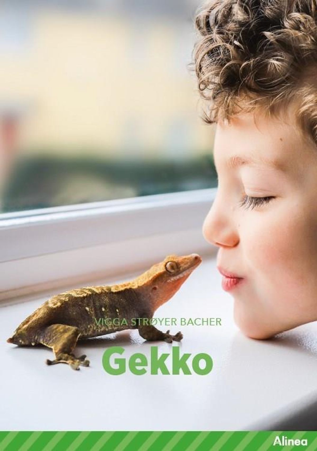 Gekko, Grøn Fagklub