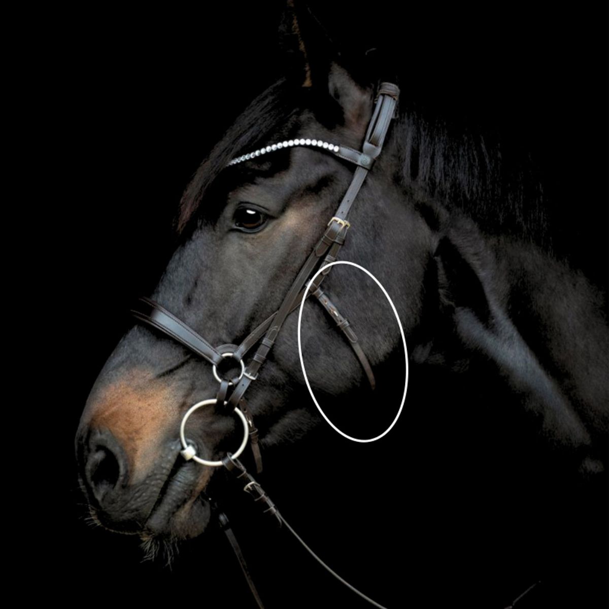 Gentle Bridle midterste kæberem | Sort