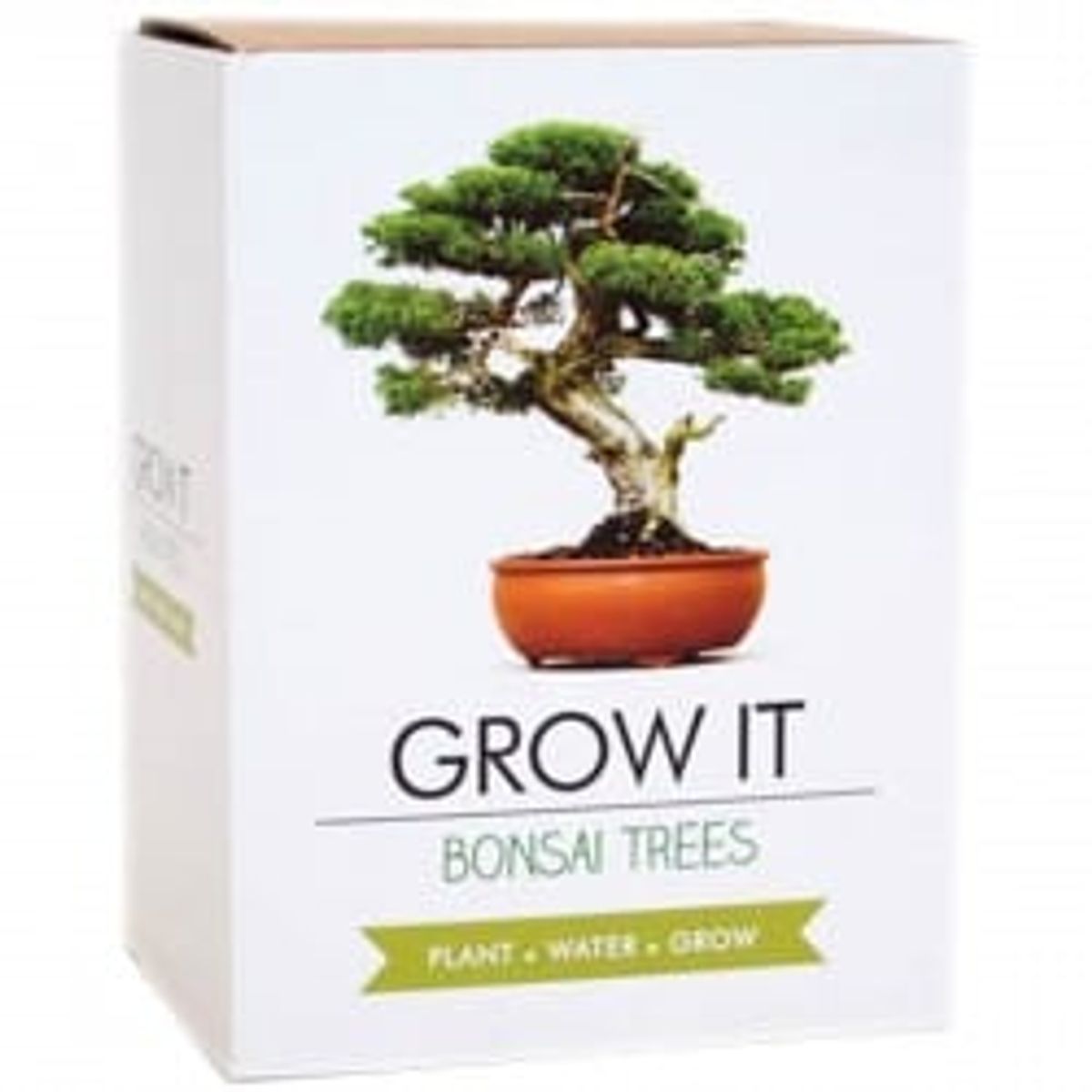 Gift Republic Grow It Kit Bonsai Trees Træ