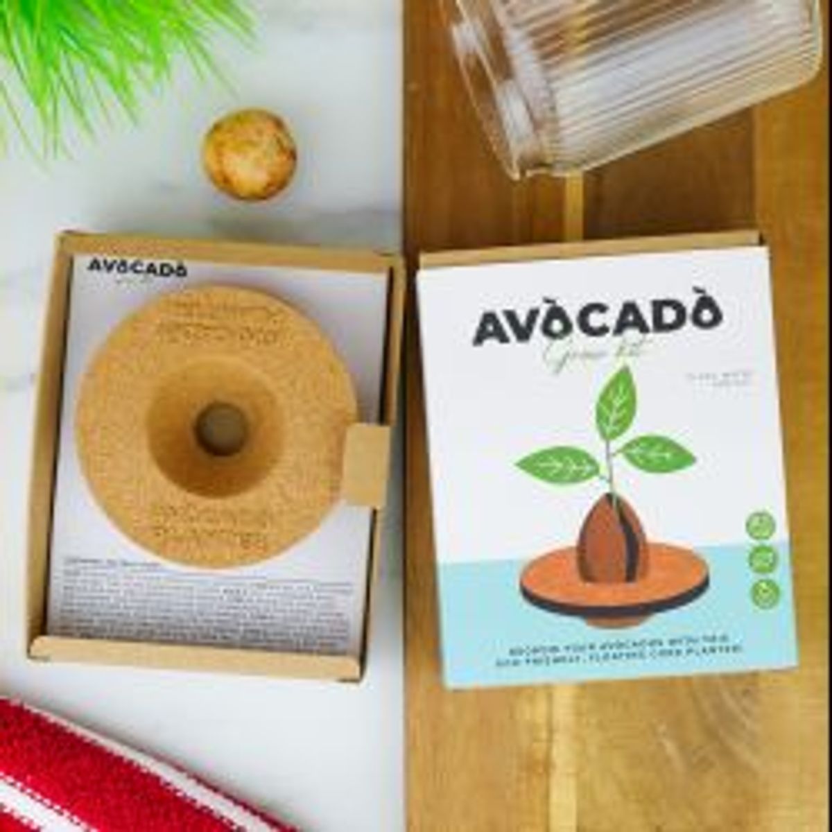 Gift Republic Grow Kit Avocado - Diverse