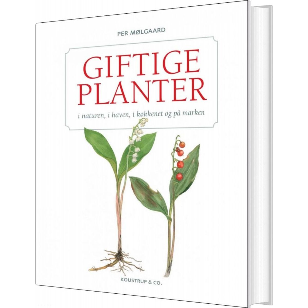 Giftige Planter For Folk Og Fæ - Per Mølgaard - Bog