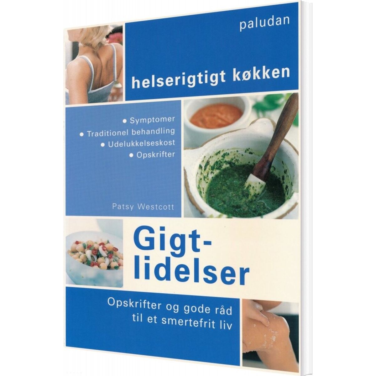 Gigtlidelser - Patsy Westcott - Bog