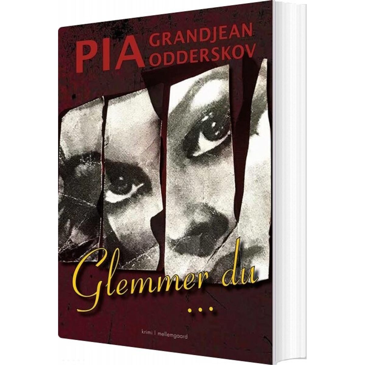 Glemmer Du - Pia Grandjean Odderskov - Bog