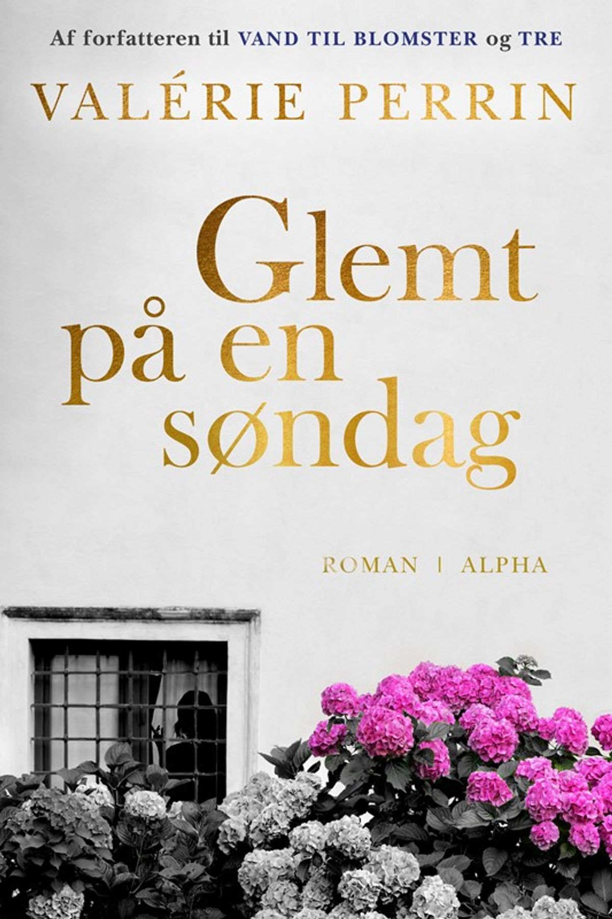 Glemt på en søndag