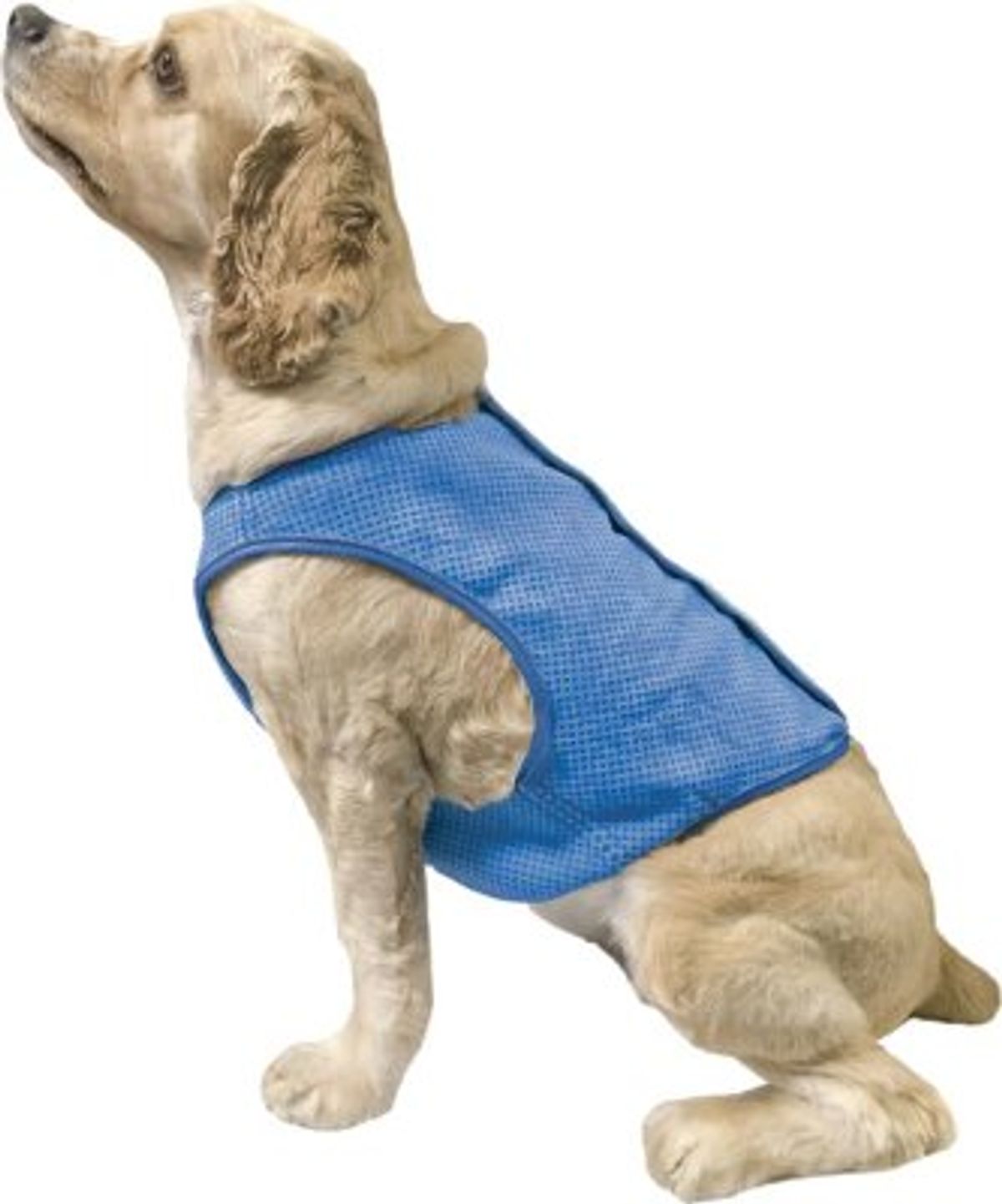 Go Fresh Ice vest til hunde