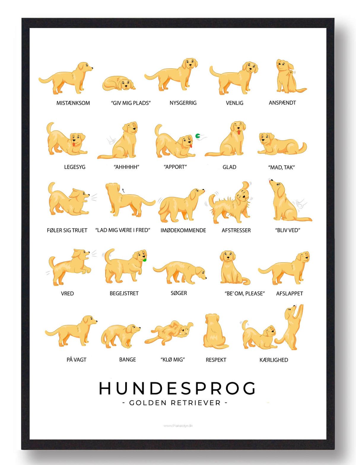 Golden Retriever plakat - Hundesprog (Størrelse: L - 50x70cm (B2))