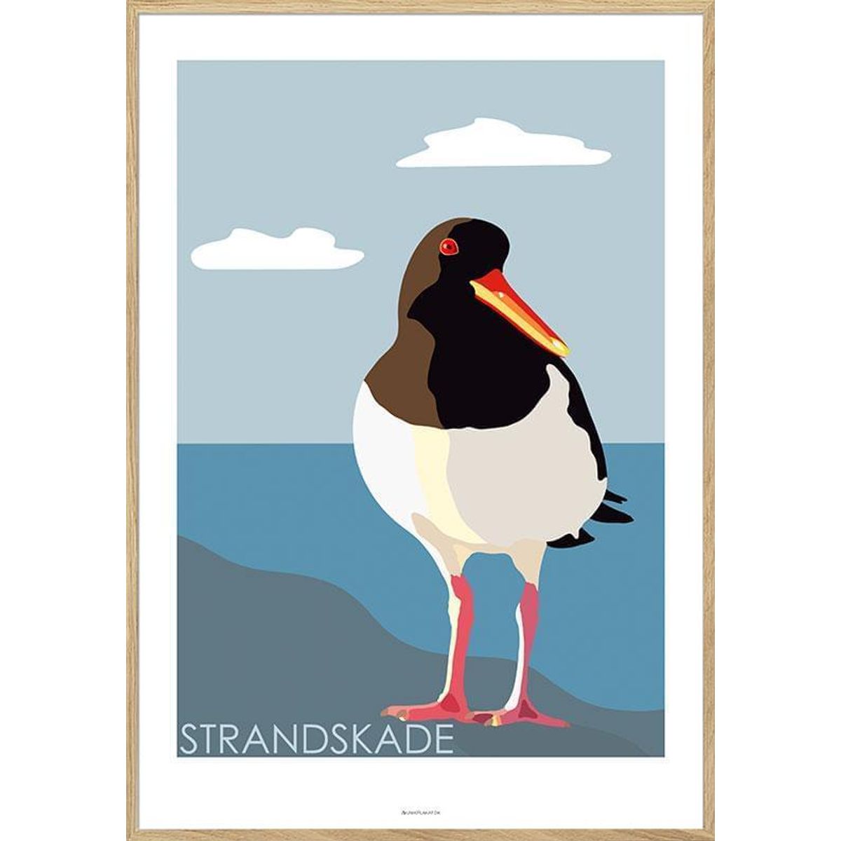 Grafisk plakat - Strandskade