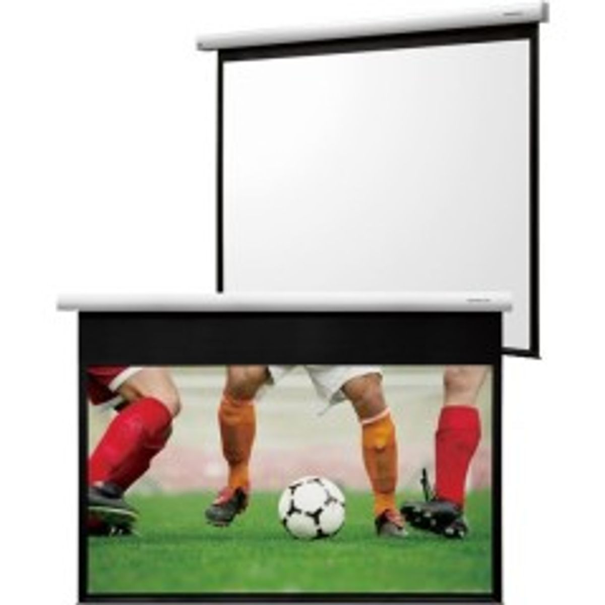 Grandview Fantasy motorized WM screen