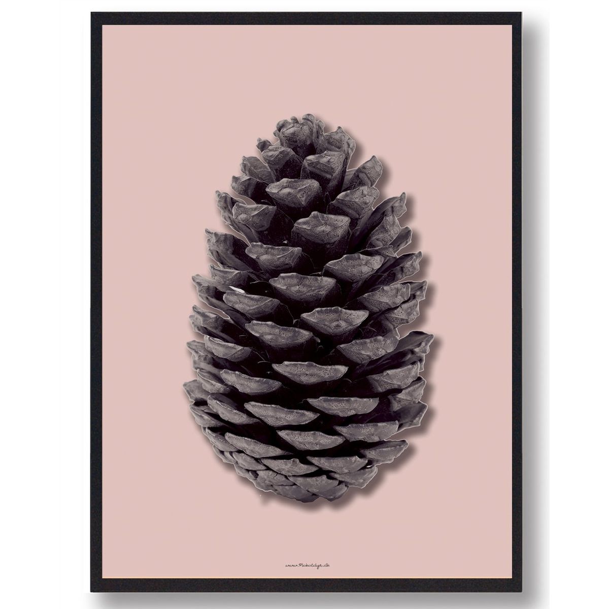 Grankogle - naturplakat (Størrelse: S - 21x29,7cm (A4))