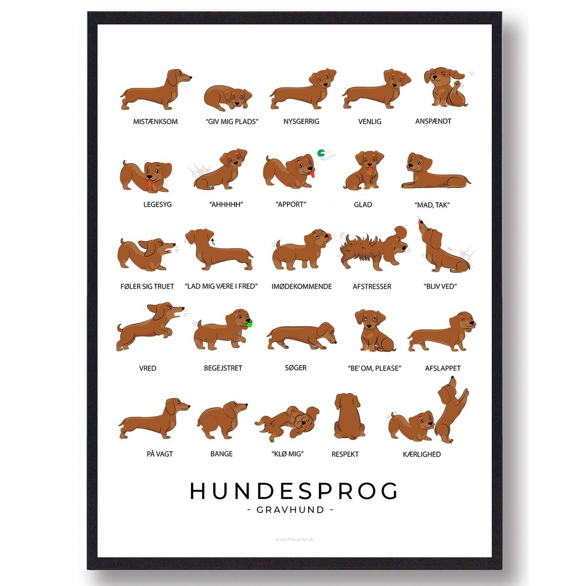 Gravhund plakat - Hundesprog (Størrelse: S - 21x29,7cm (A4))