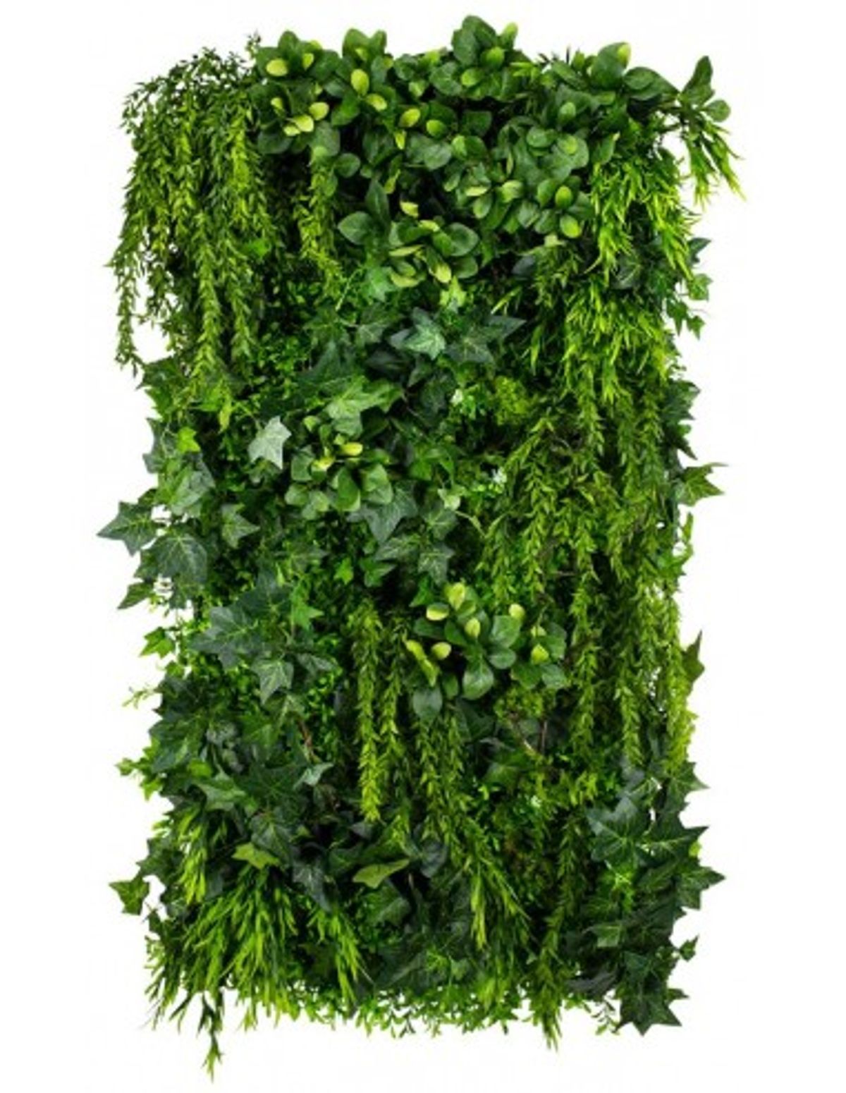 Green Ivy Plantevæg med kunstige planter 100 x 50 cm