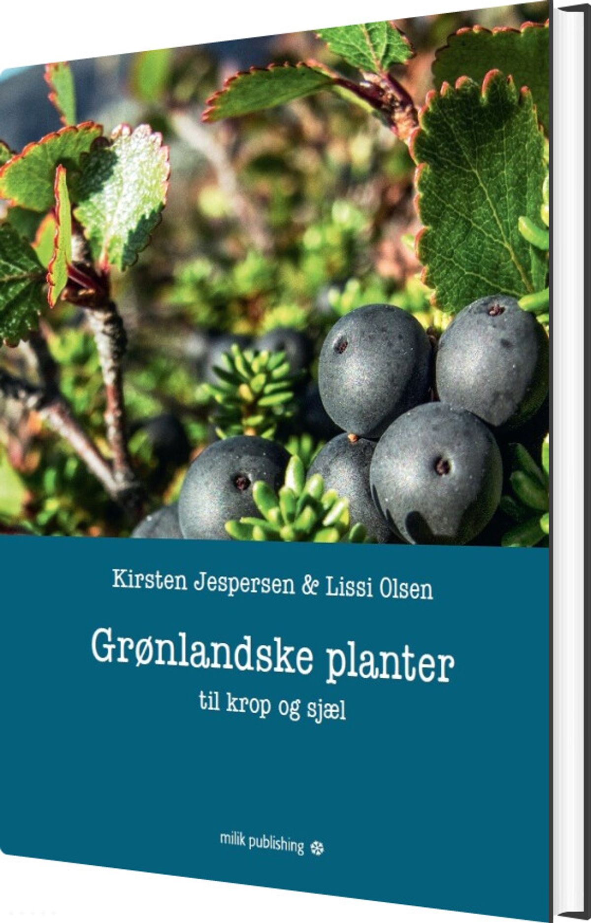 Greenland Plants - For Body And Soul - Kirsten Jespersen - Bog