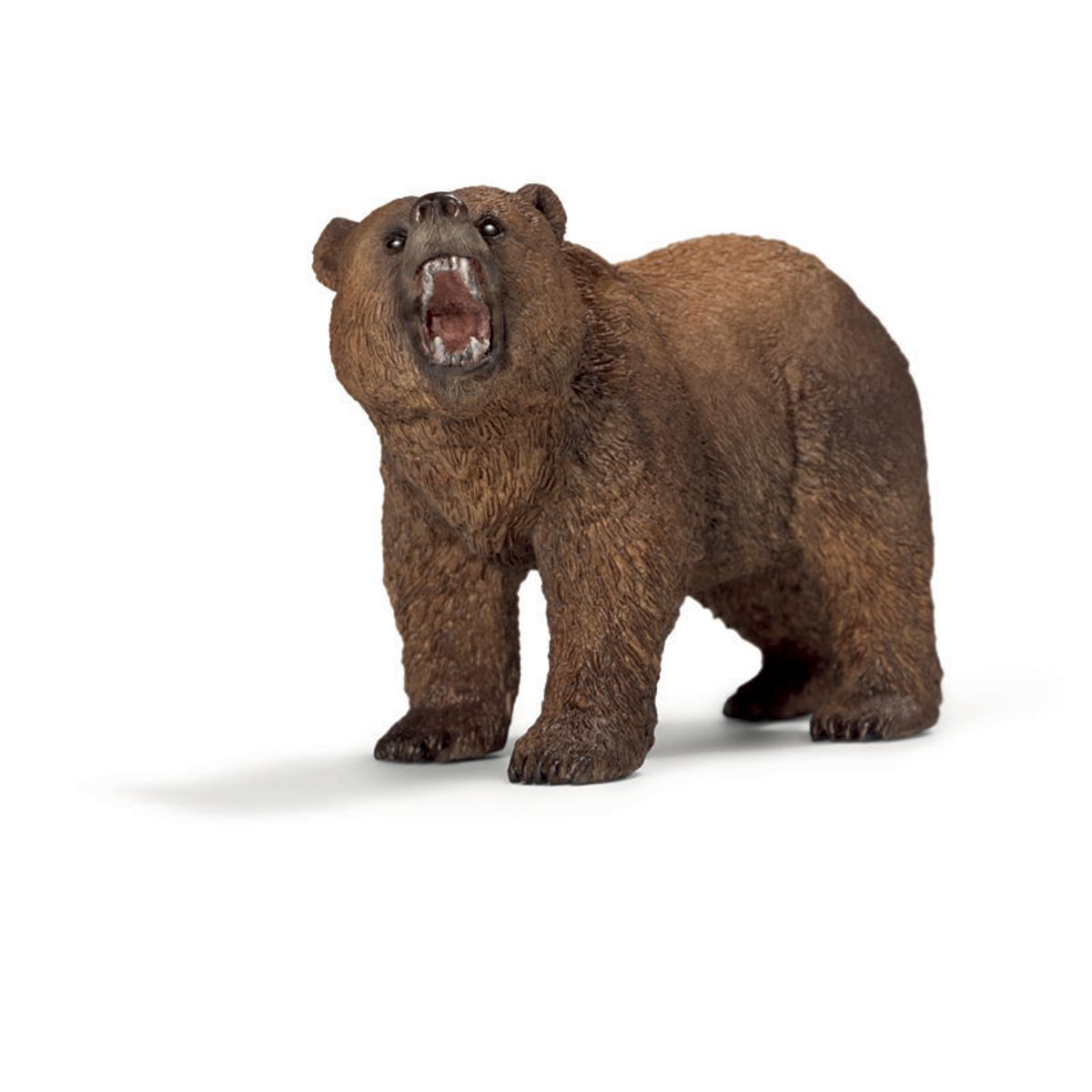 Grizzly bjørn