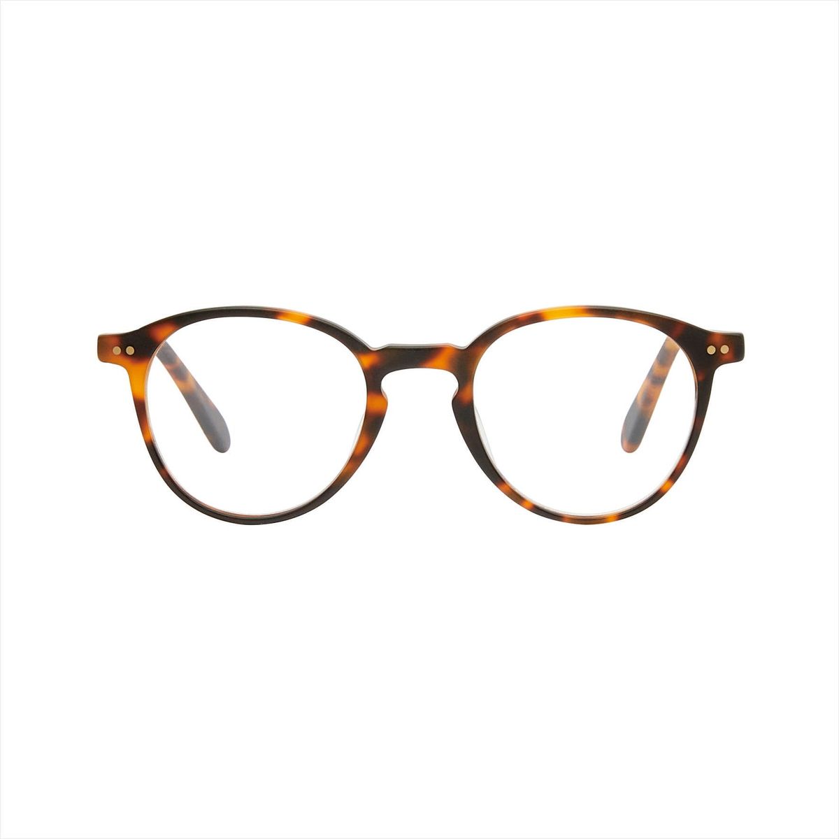 Grosetto Brown Turtle Læsebrille - PREMIUM - Brown Turtle / -1.5